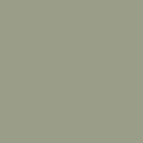 Buy Flagstone Quartzite DET 517 Paint Online | Dunn-Edwards Paints
