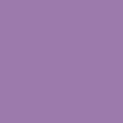 Cloudy Plum DE 5984