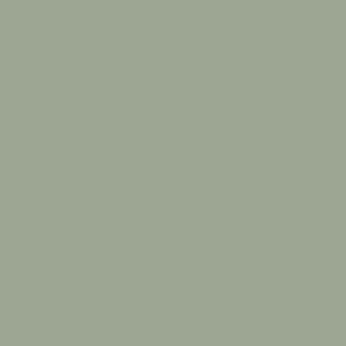 Lichen Green DET 516