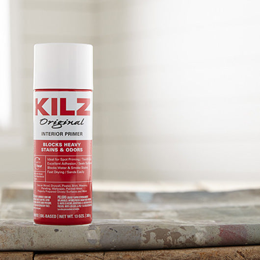 Buy KILZ Interior/Spot Exterior Primer and Sealer 13oz Spray Online ...